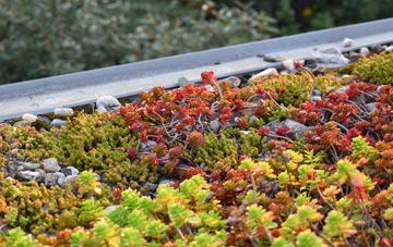the cost of Shipton Under Wychwood green roof installation